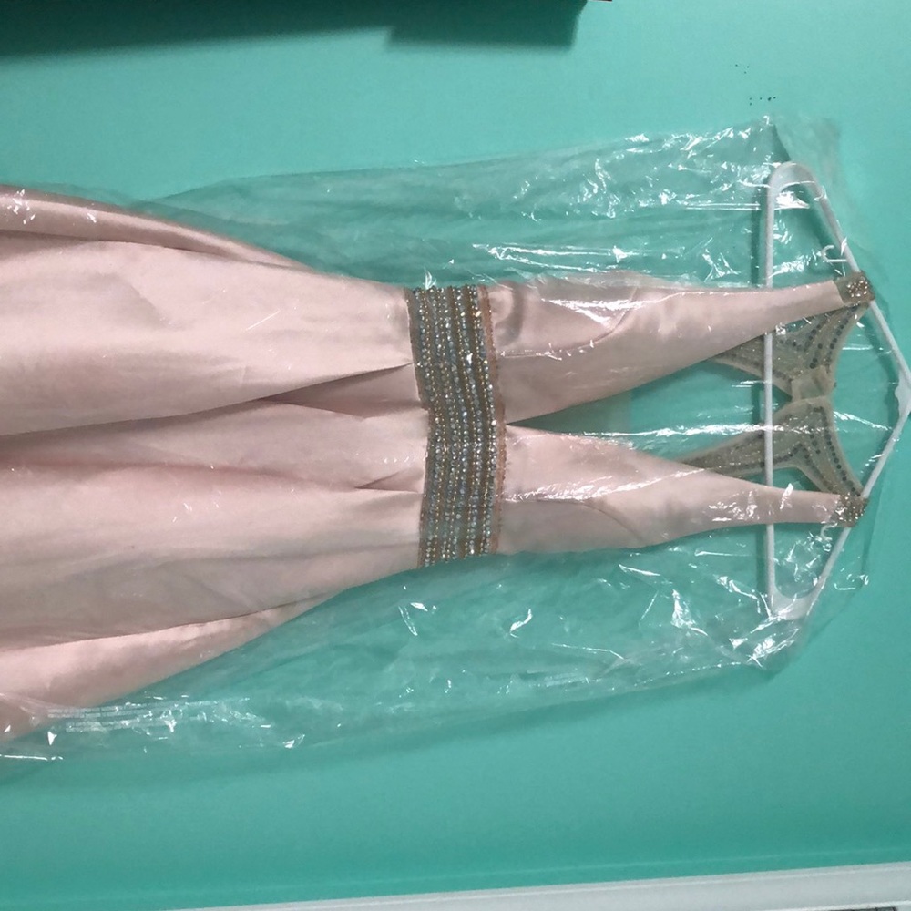 Beautiful pink/champagne homecoming dress!